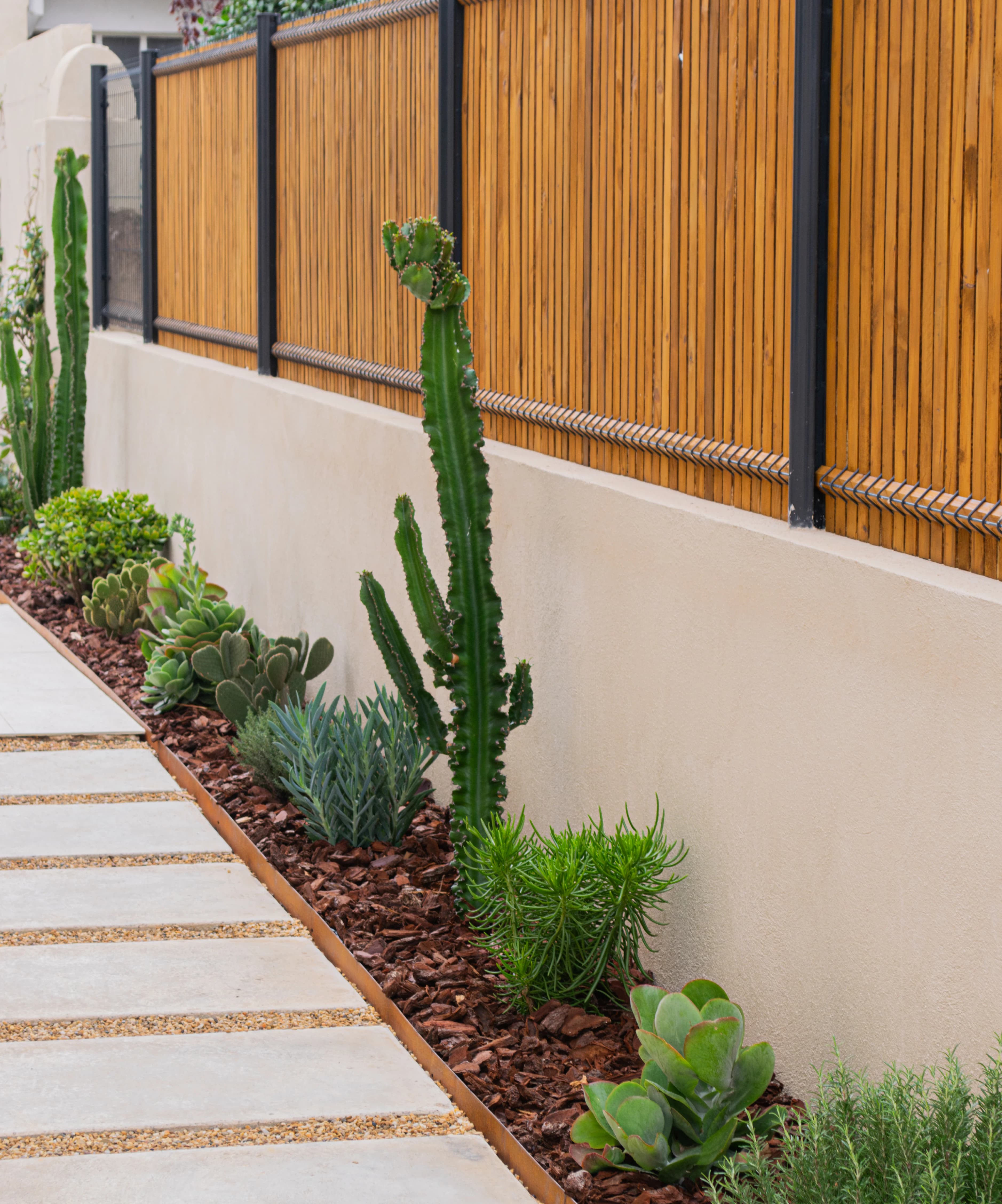 Jardin minimaliste avec cactus et succulentes le long d'une clôture.